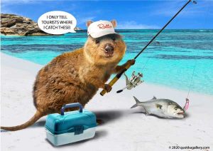 Poster of a Quokka Fishing