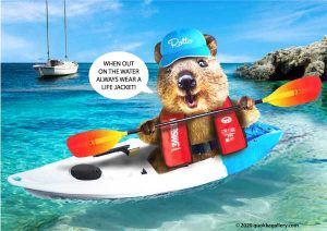 Poster of a Quokka kayaking