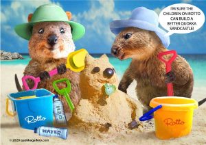 Poster of 2 Quokkas building a sandcastle