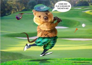 Poster of a Quokka playing Golf
