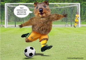 Poster of a Quokka playing Soccer