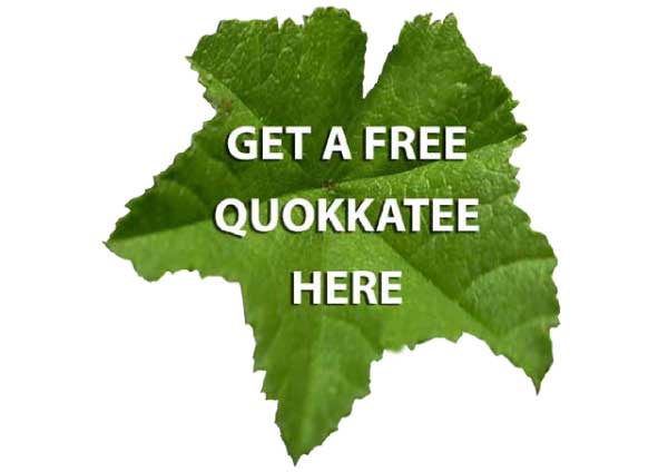 Get a free Quokka T