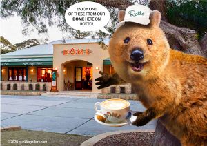 Quokka outside the Dome Cafe on Rottnest Island